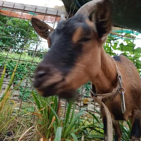 Il Rifugio Di Artemide Perinaldo