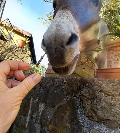 Il Rifugio Di Artemide בית חווה *