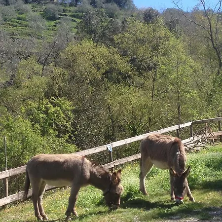 Lantgård Il Rifugio Di Artemide *