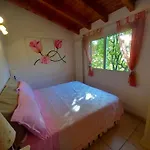 Il Rifugio Di Artemide *