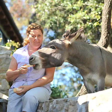 Gospodarstwo agroturystyczne Il Rifugio Di Artemide *