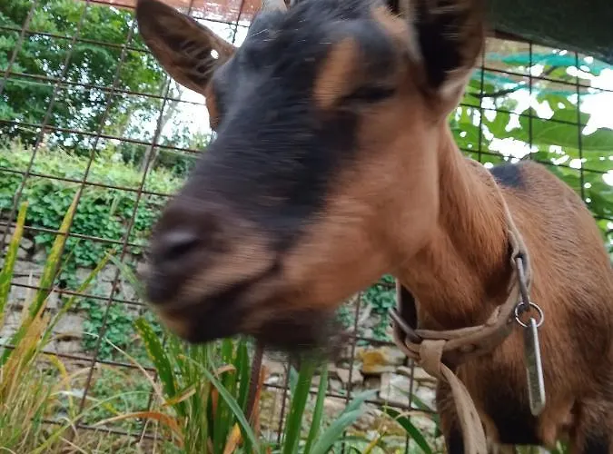 Il Rifugio Di Artemide Perinaldo