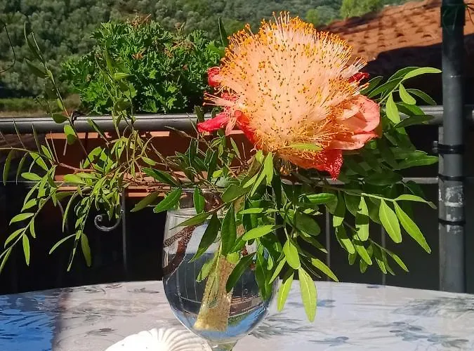 Farm stay Il Rifugio Di Artemide *