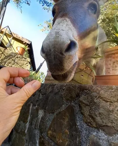 Il Rifugio Di Artemide Farm stay *