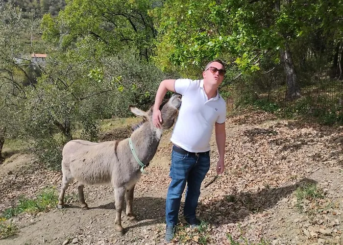 Il Rifugio Di Artemide Farm stay