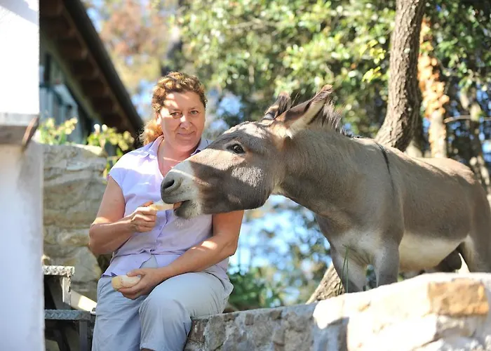 Farm stay Il Rifugio Di Artemide *